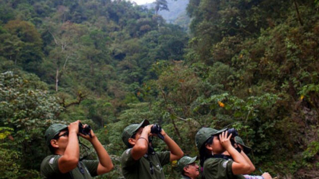 Descubren nueva especie de orquídea en la Amazonía del Perú.